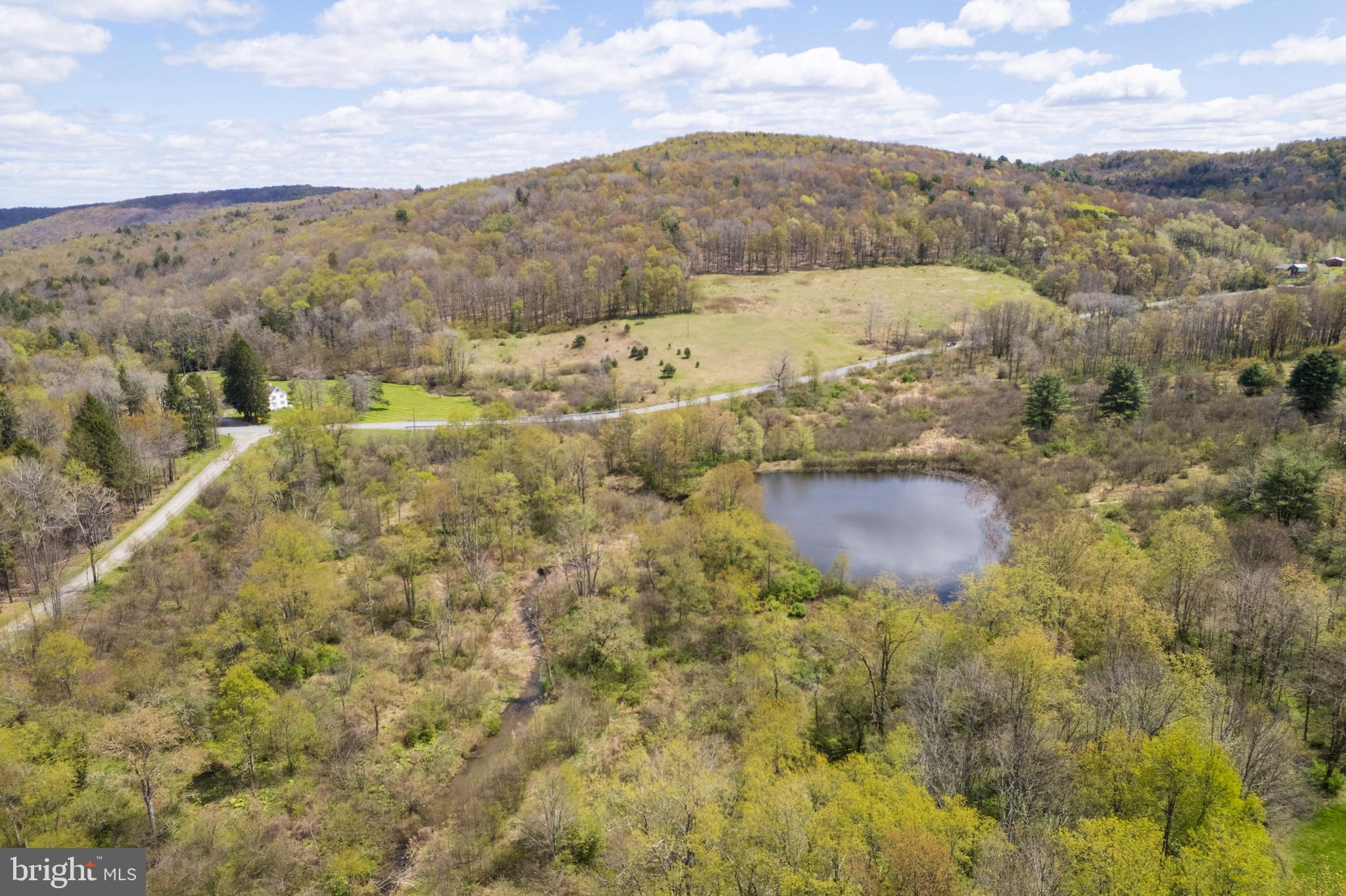 0 Holbrook Road Montrose, PA 18801 - Photo 14 of 147