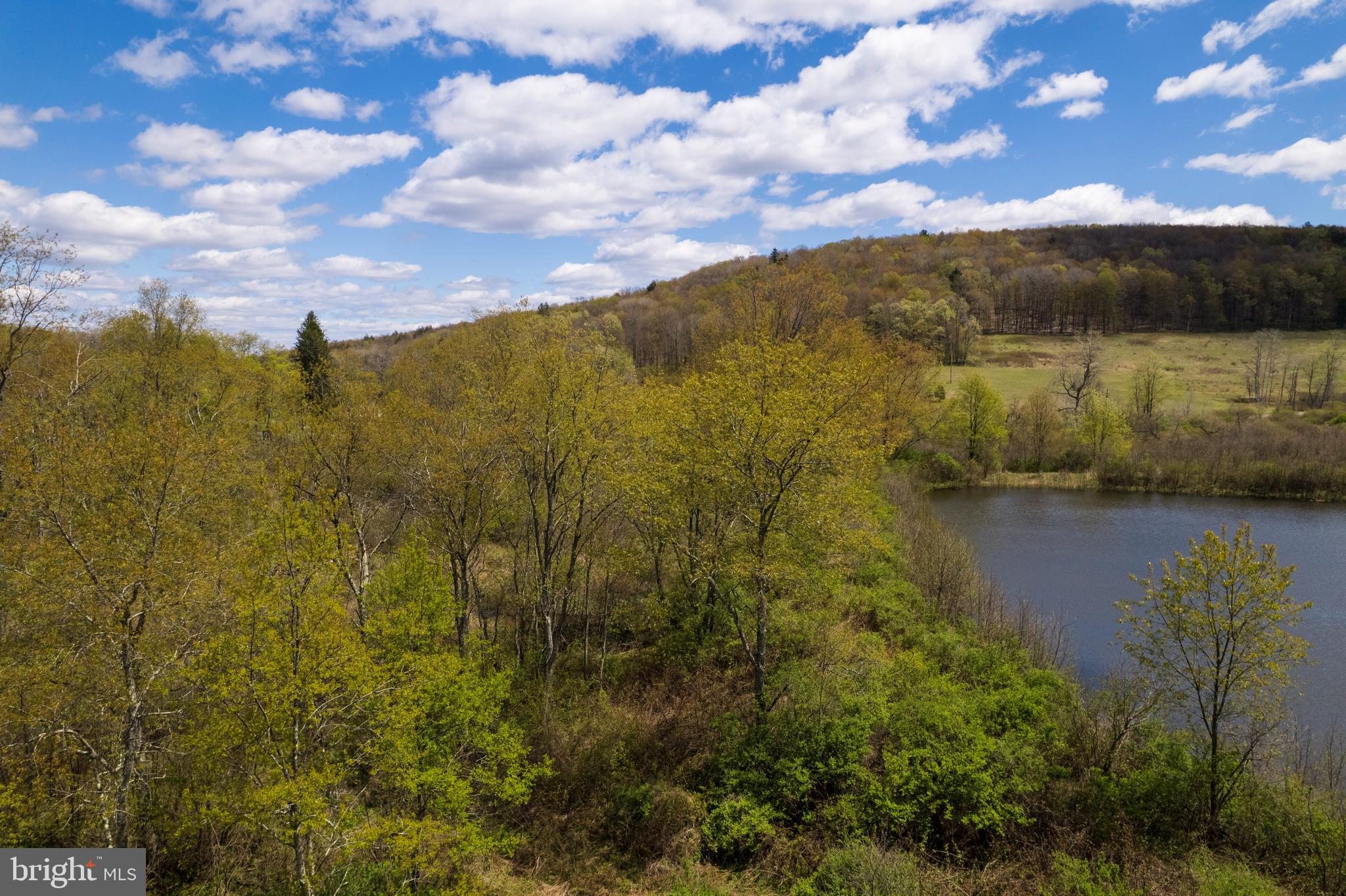 0 Holbrook Road Montrose, PA 18801 - Photo 16 of 147 a view of lake