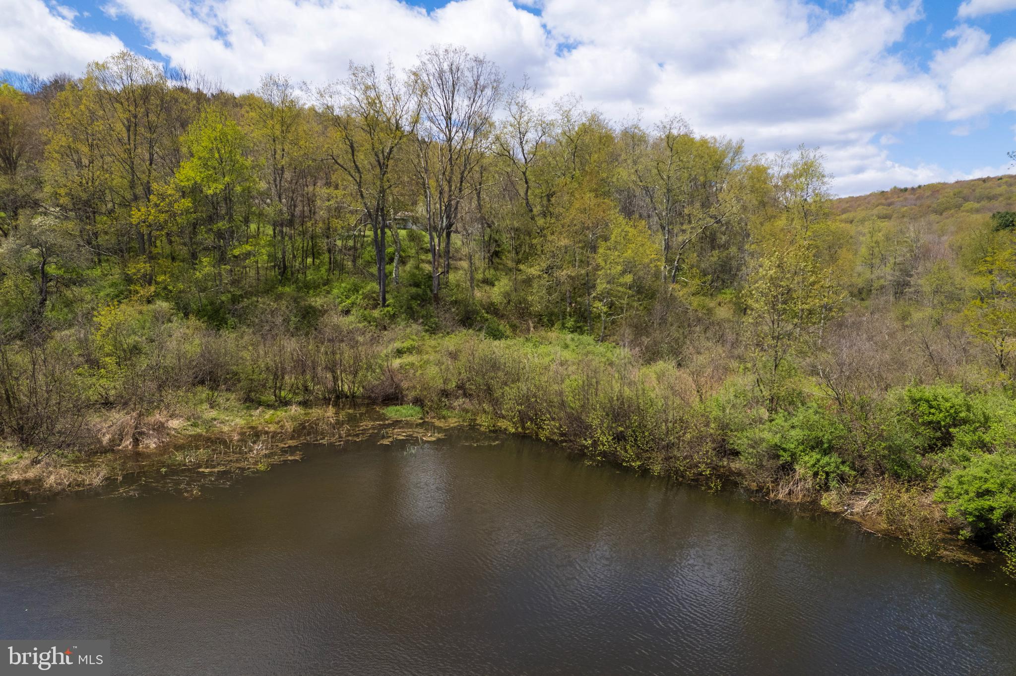 0 Holbrook Road Montrose, PA 18801 - Photo 18 of 147 a view of a lake with a mountain