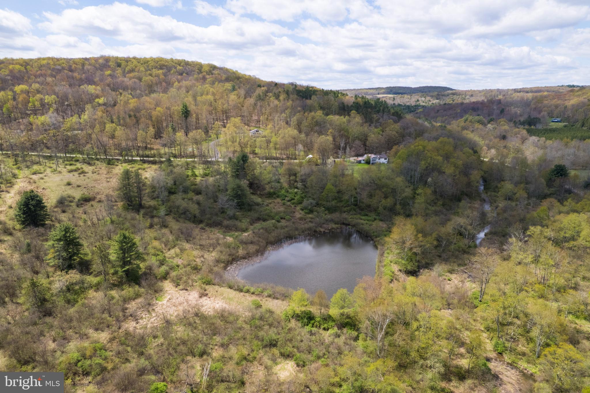 0 Holbrook Road Montrose, PA 18801 - Photo 19 of 147 a view of a lake with mountains in the background