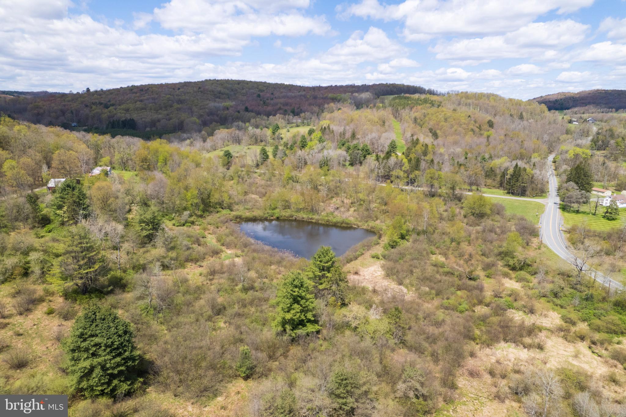 0 Holbrook Road Montrose, PA 18801 - Photo 21 of 147