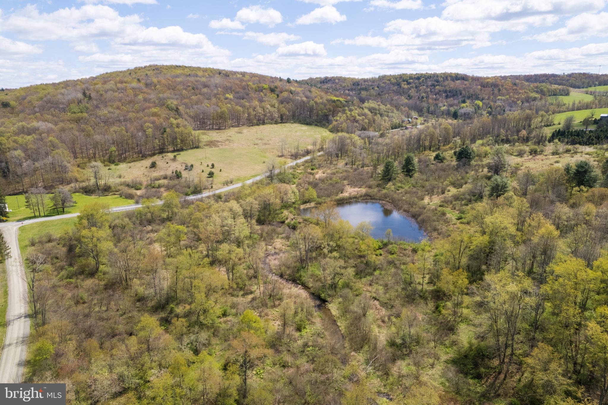 0 Holbrook Road Montrose, PA 18801 - Photo 3 of 147