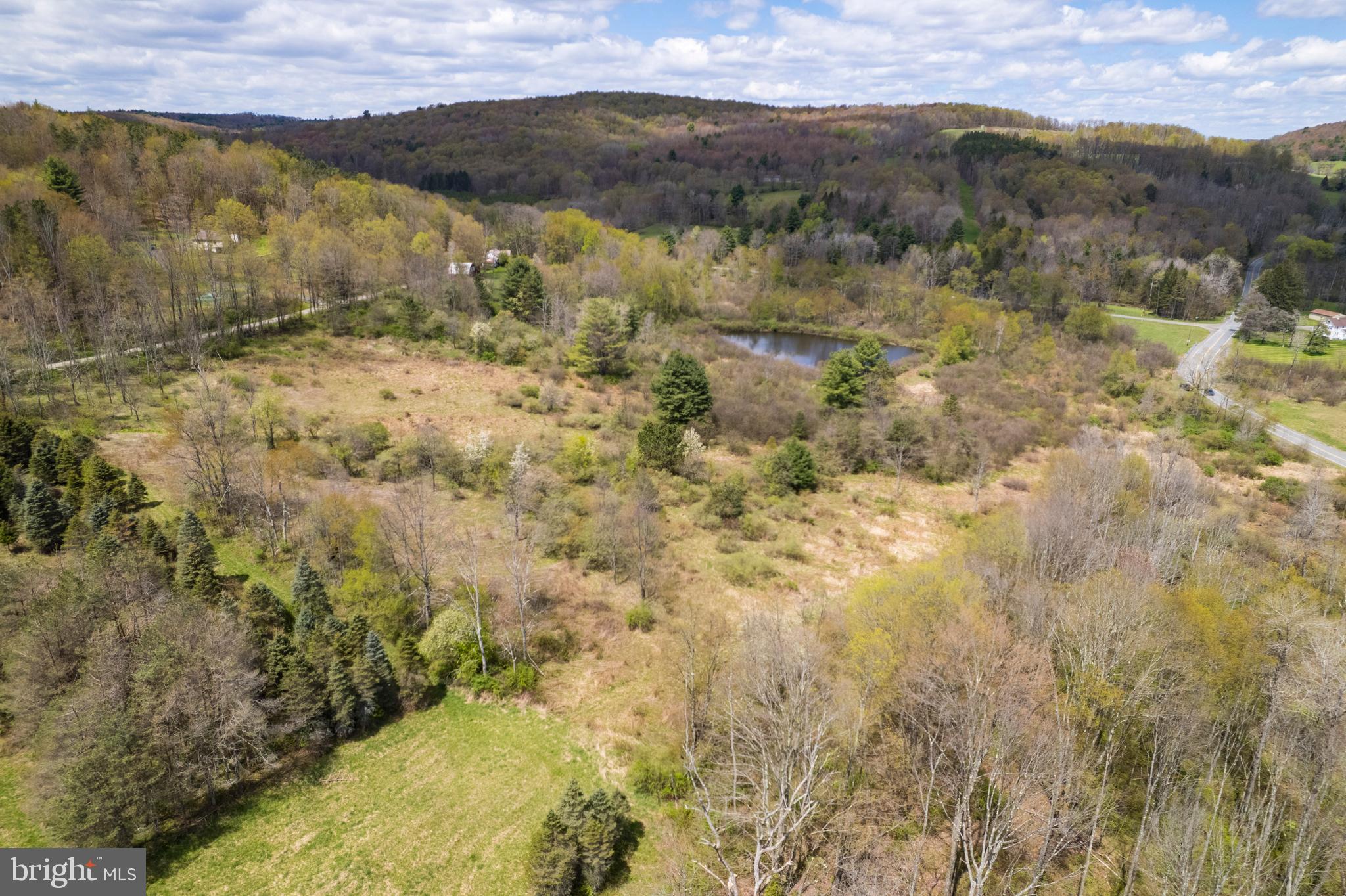 0 Holbrook Road Montrose, PA 18801 - Photo 32 of 147