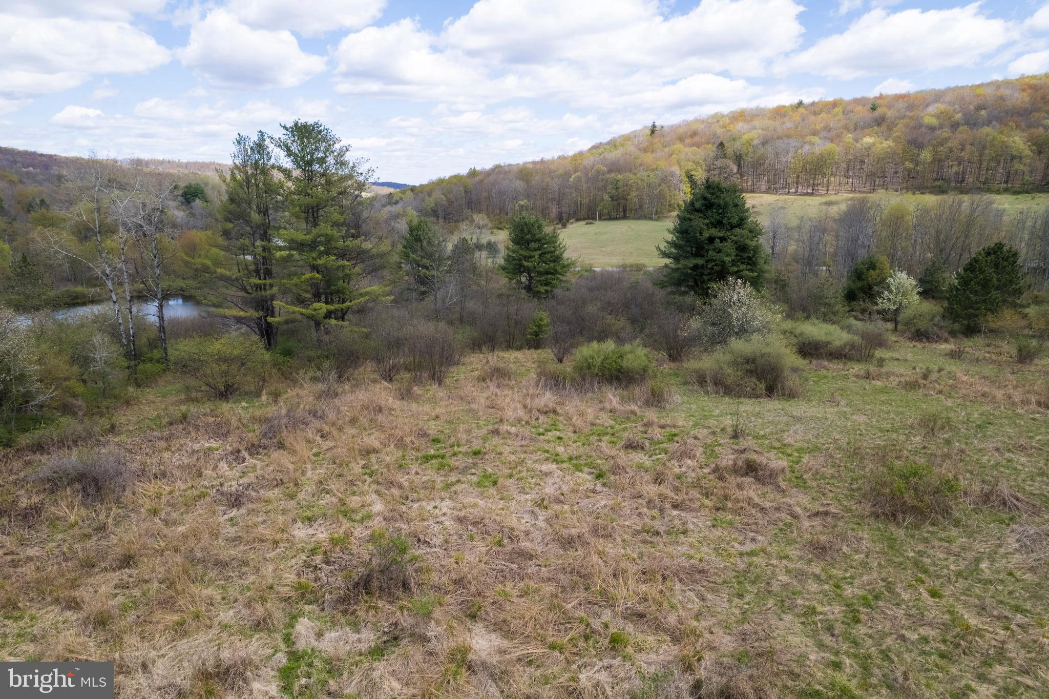 0 Holbrook Road Montrose, PA 18801 - Photo 39 of 147 a view of a forest with trees in the background