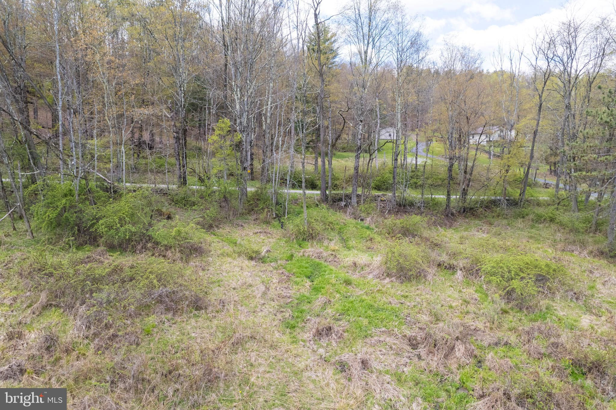 0 Holbrook Road Montrose, PA 18801 - Photo 42 of 147 a view of a forest with trees in the background