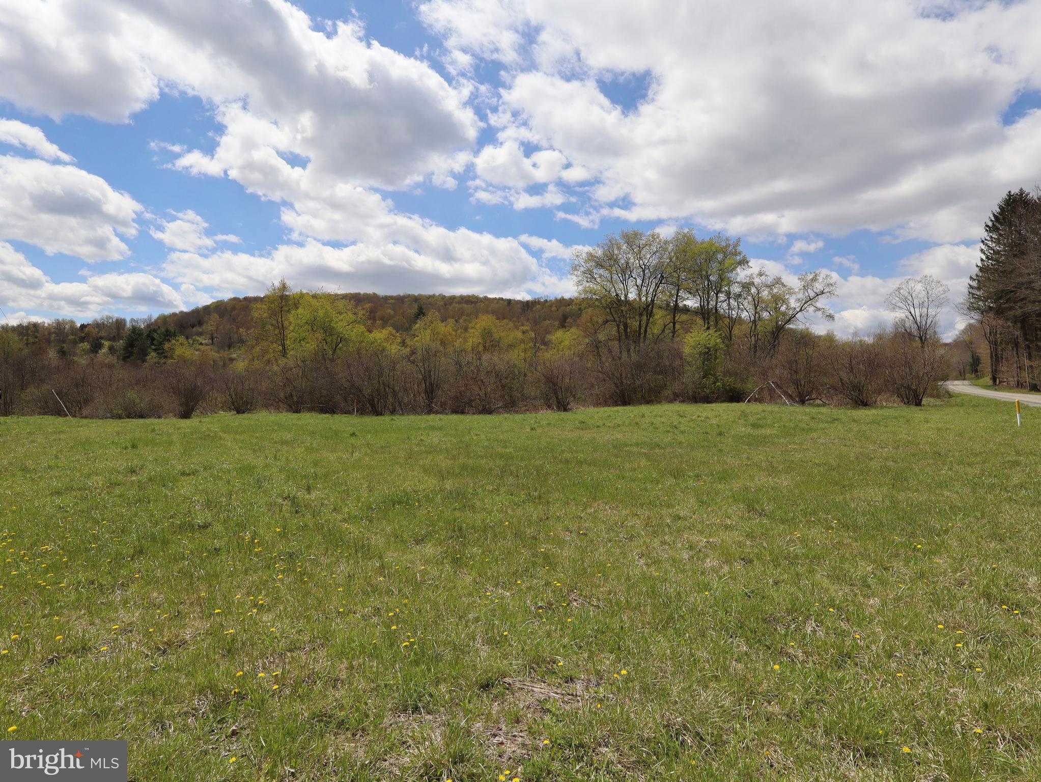 0 Holbrook Road Montrose, PA 18801 - Photo 57 of 147