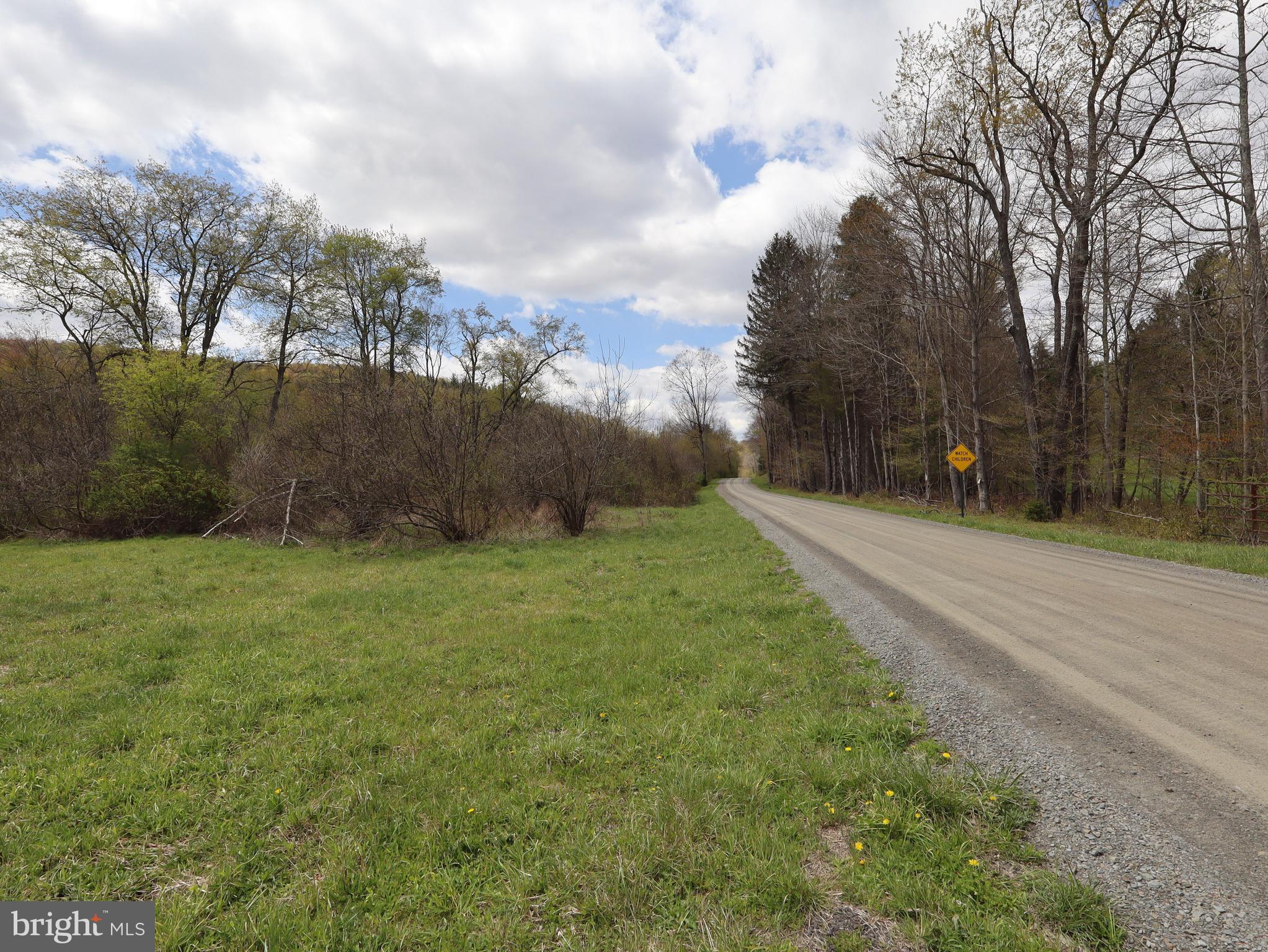 0 Holbrook Road Montrose, PA 18801 - Photo 66 of 147