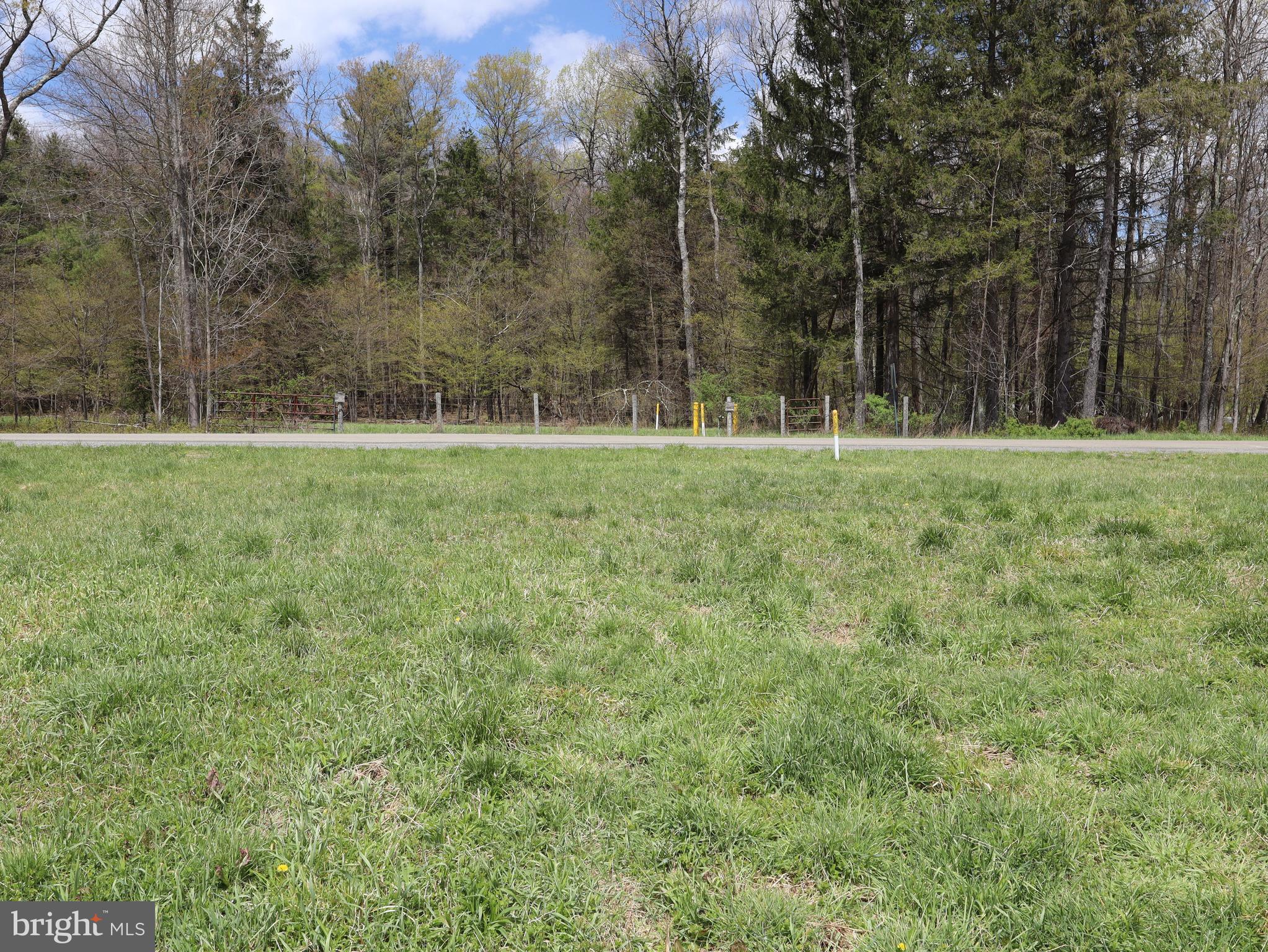 0 Holbrook Road Montrose, PA 18801 - Photo 75 of 147