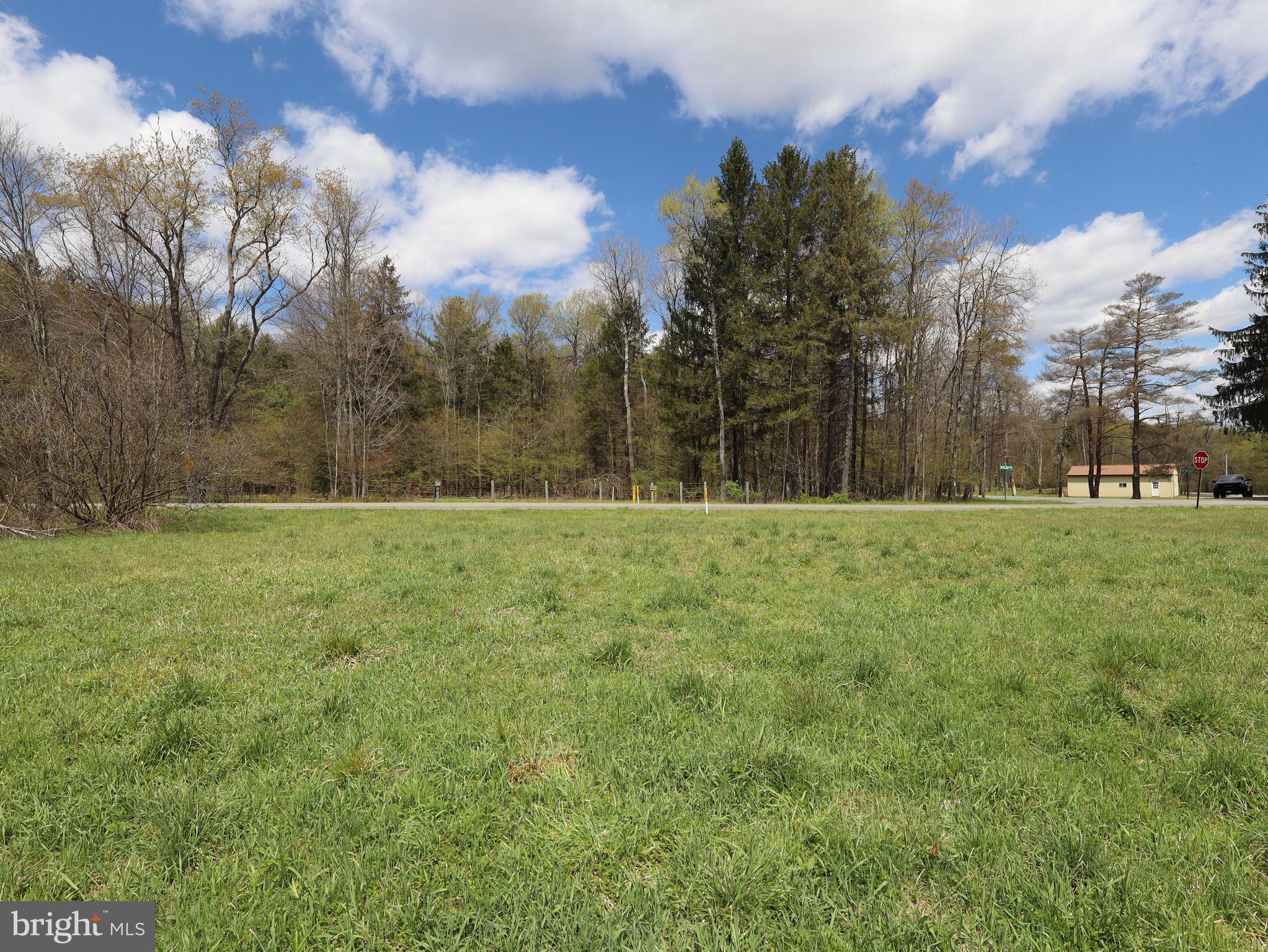0 Holbrook Road Montrose, PA 18801 - Photo 77 of 147 a view of outdoor space with green field and trees