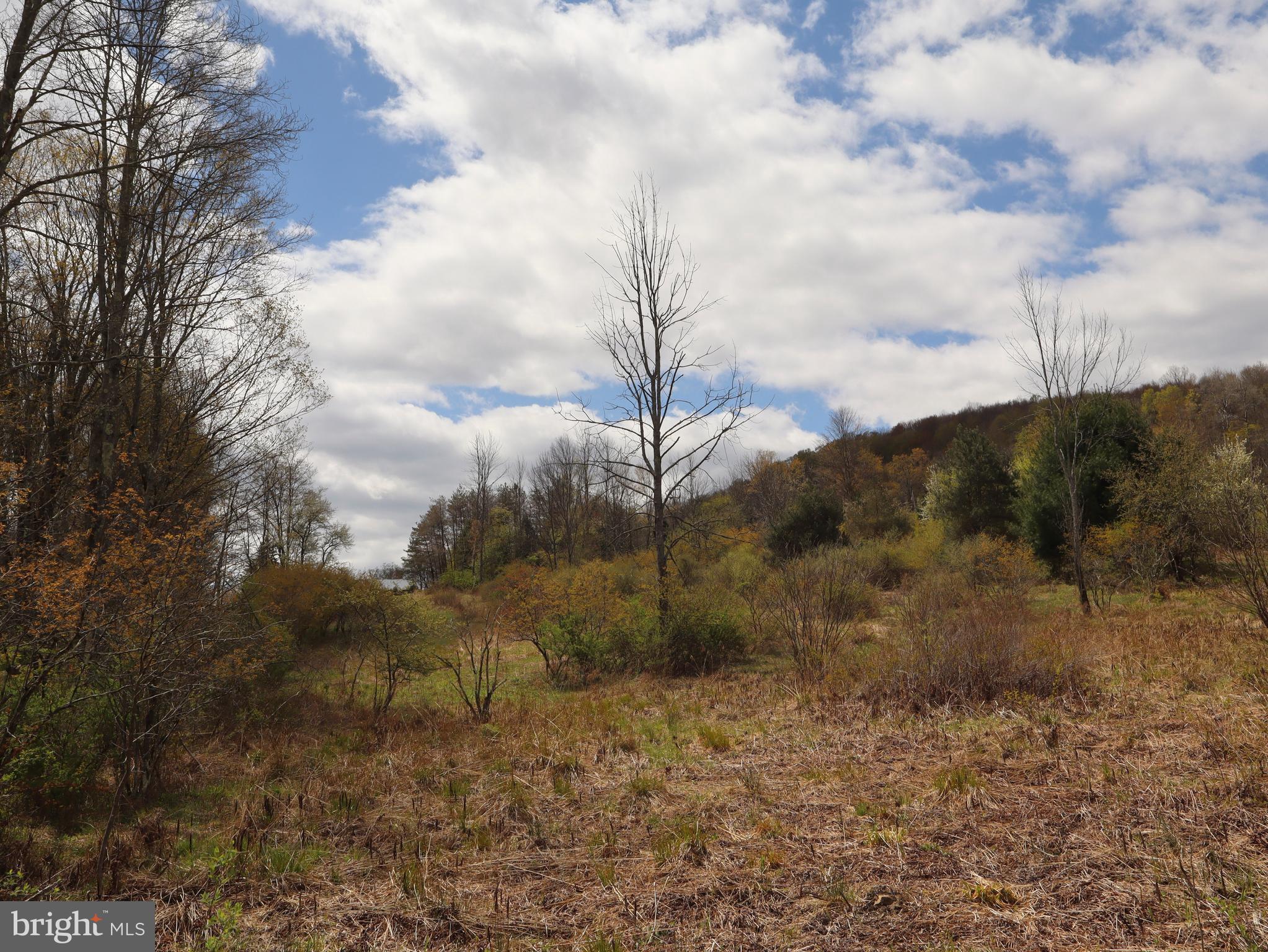 0 Holbrook Road Montrose, PA 18801 - Photo 83 of 147 a view of a dry yard with trees