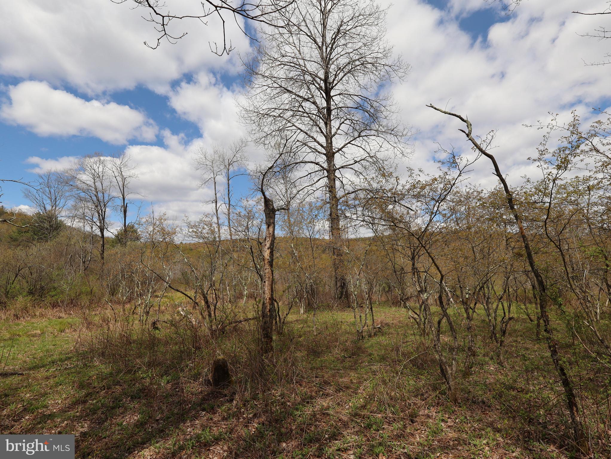 0 Holbrook Road Montrose, PA 18801 - Photo 86 of 147