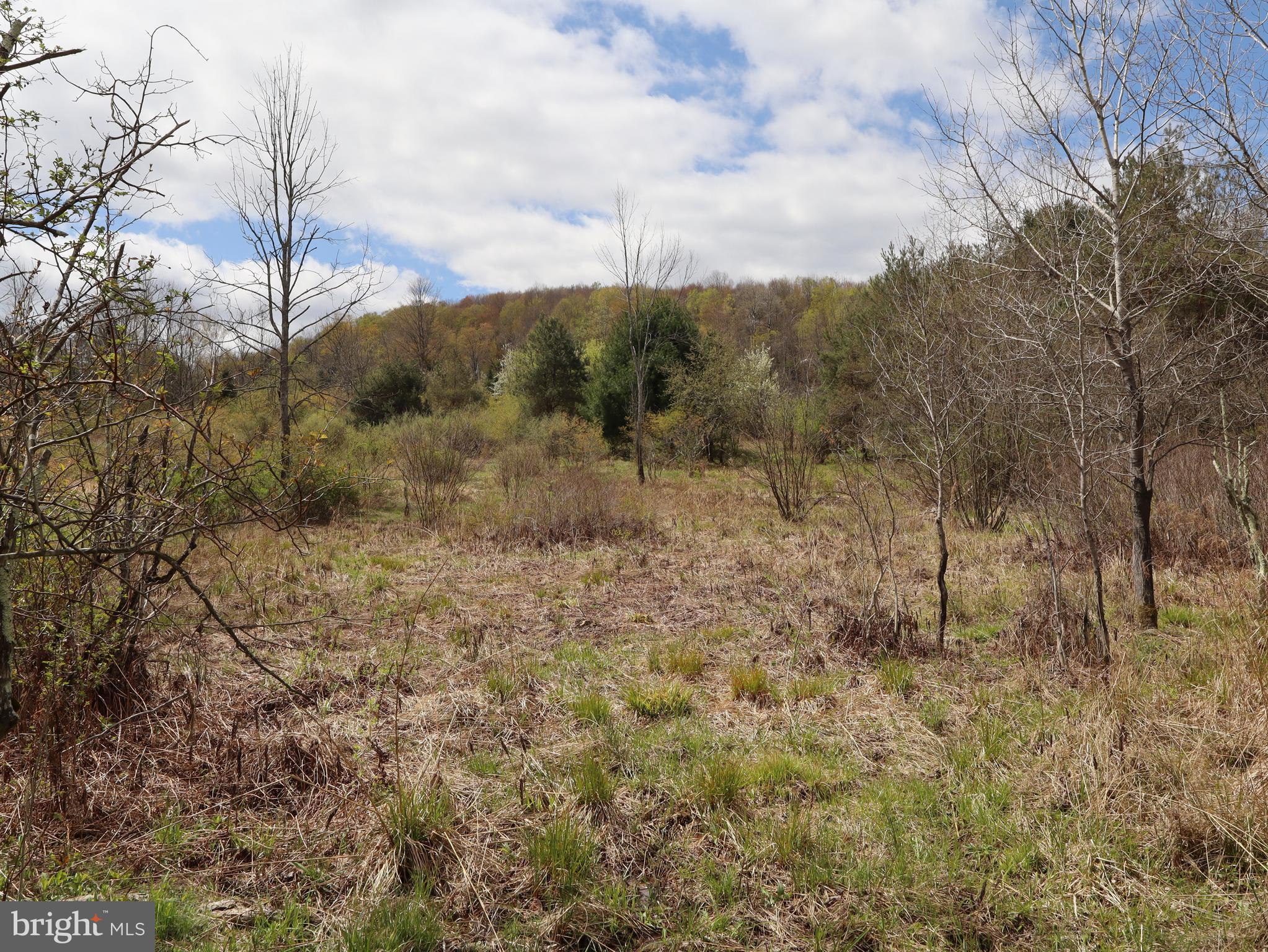0 Holbrook Road Montrose, PA 18801 - Photo 97 of 147