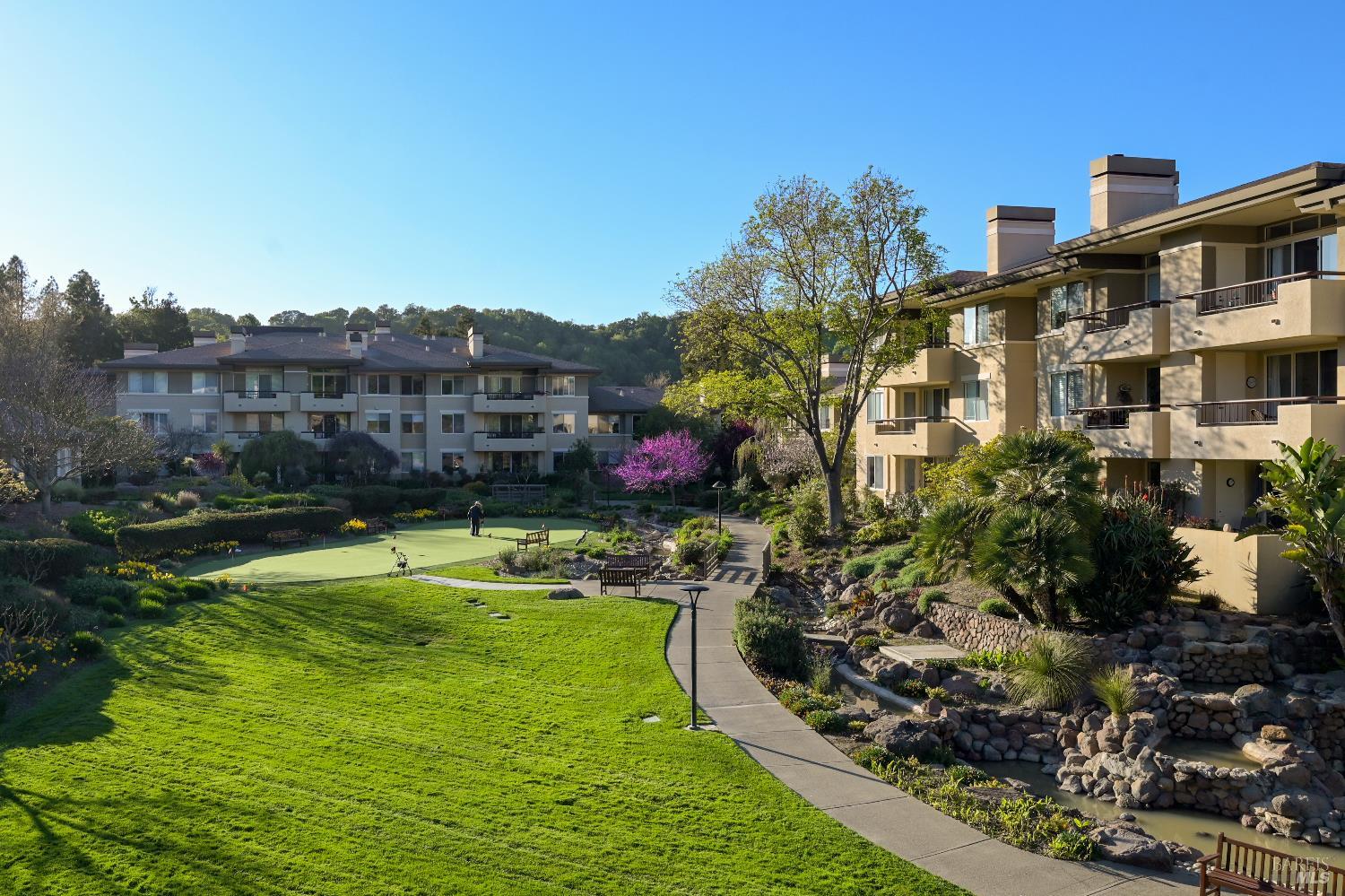 400 Deer Valley Road, Unit 3D San Rafael, CA 94903 - Photo 11 of 18 a swimming pool with buildings in the background