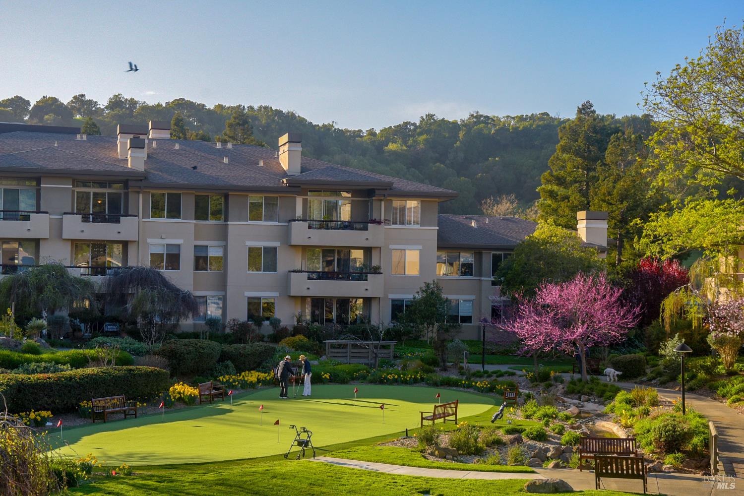 400 Deer Valley Road, Unit 3D San Rafael, CA 94903 - Photo 12 of 18 a front view of a house with a yard and swimming pool