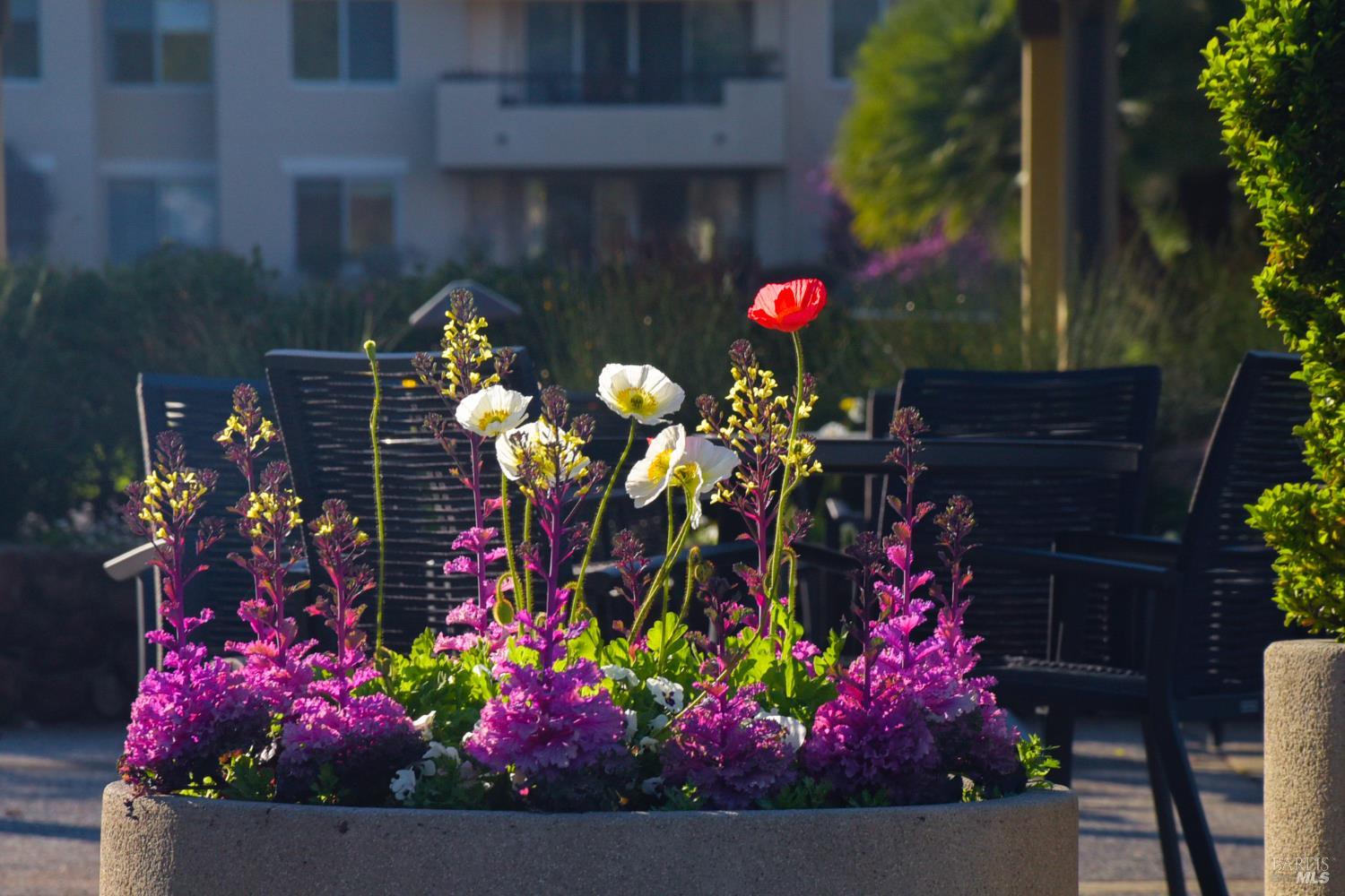 400 Deer Valley Road, Unit 3D San Rafael, CA 94903 - Photo 13 of 18