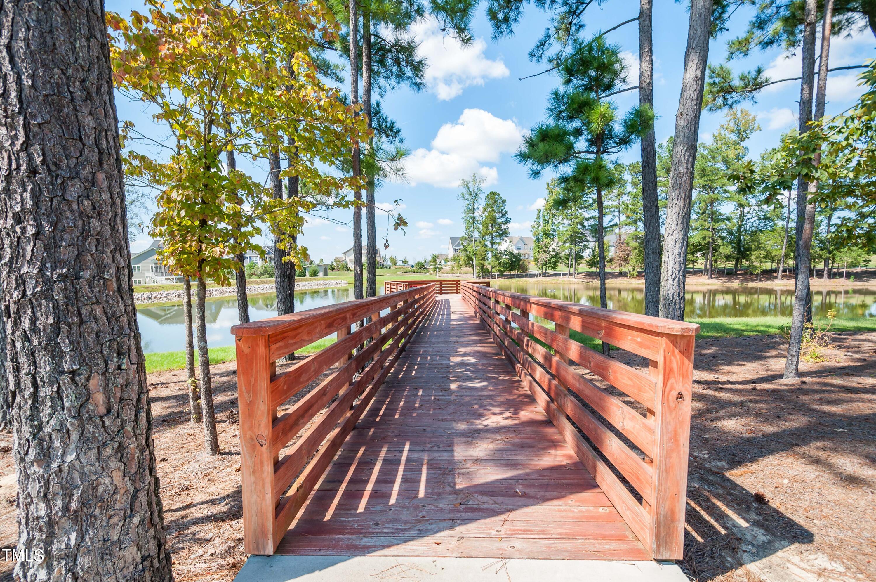 Bridge to Dock