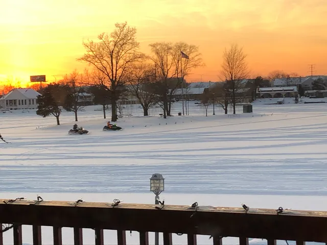 a view of ocean and trees