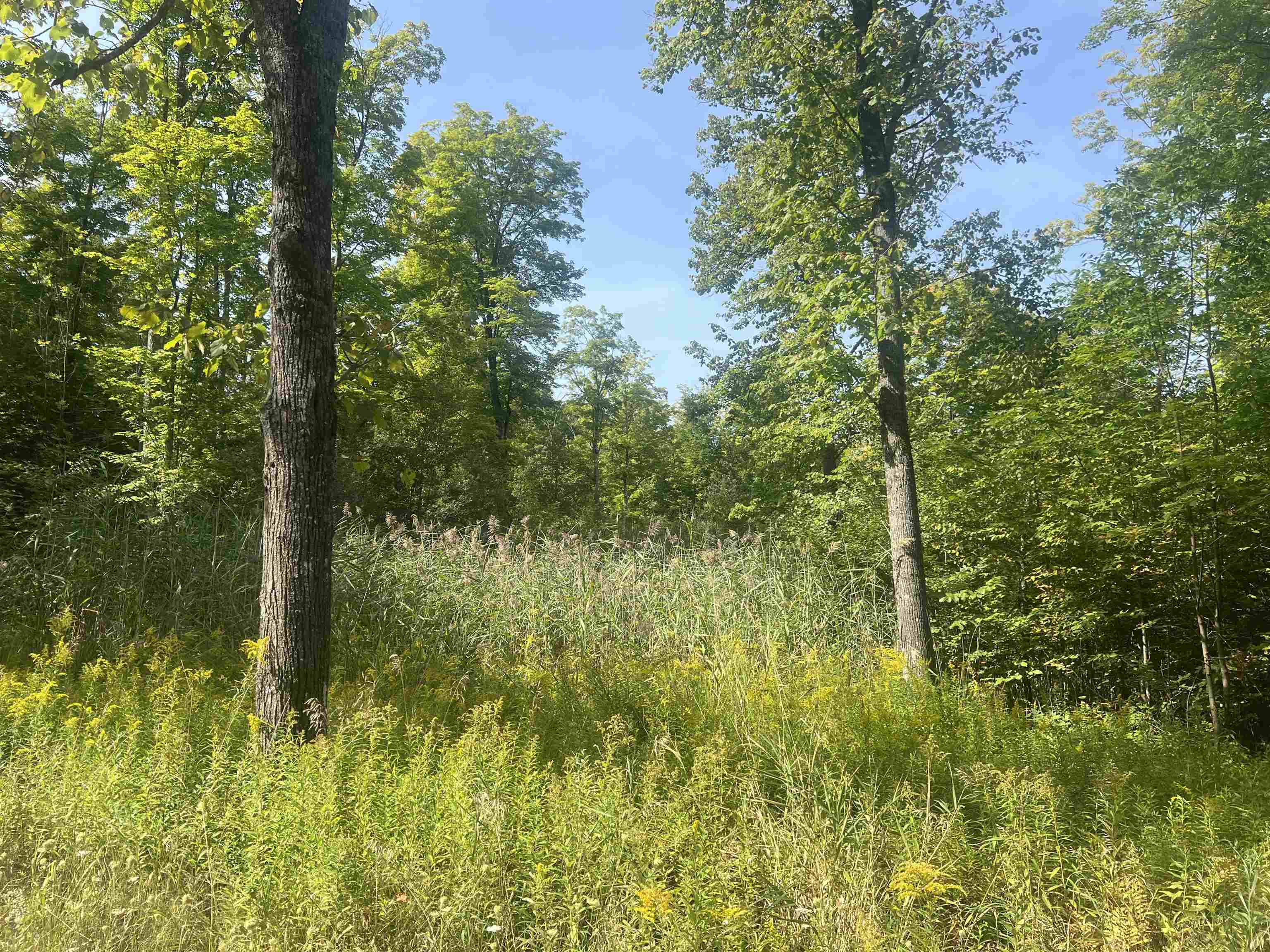 0 30 West 30 1/4 Road Boon, MI 49618 - Photo 2 of 9