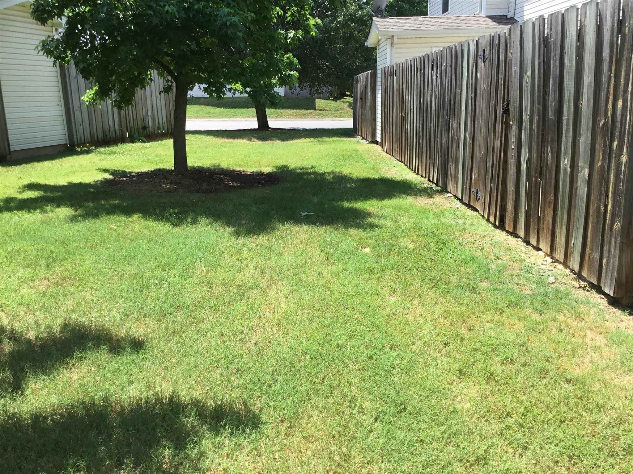 2505 Comanche Way Murfreesboro, TN 37128 - Photo 19 of 21 a view of yard with tree
