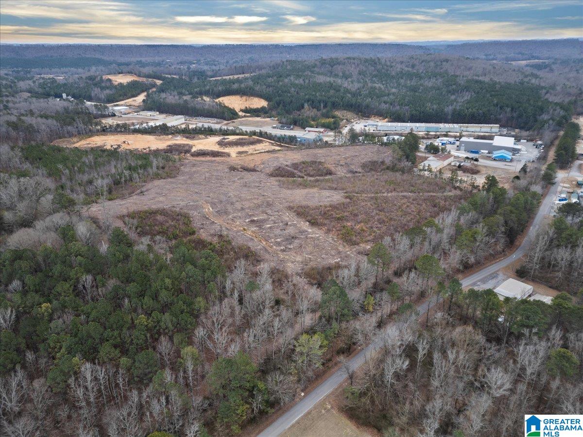409 Industrial Park Road Oneonta, AL 35121 - Photo 9 of 14