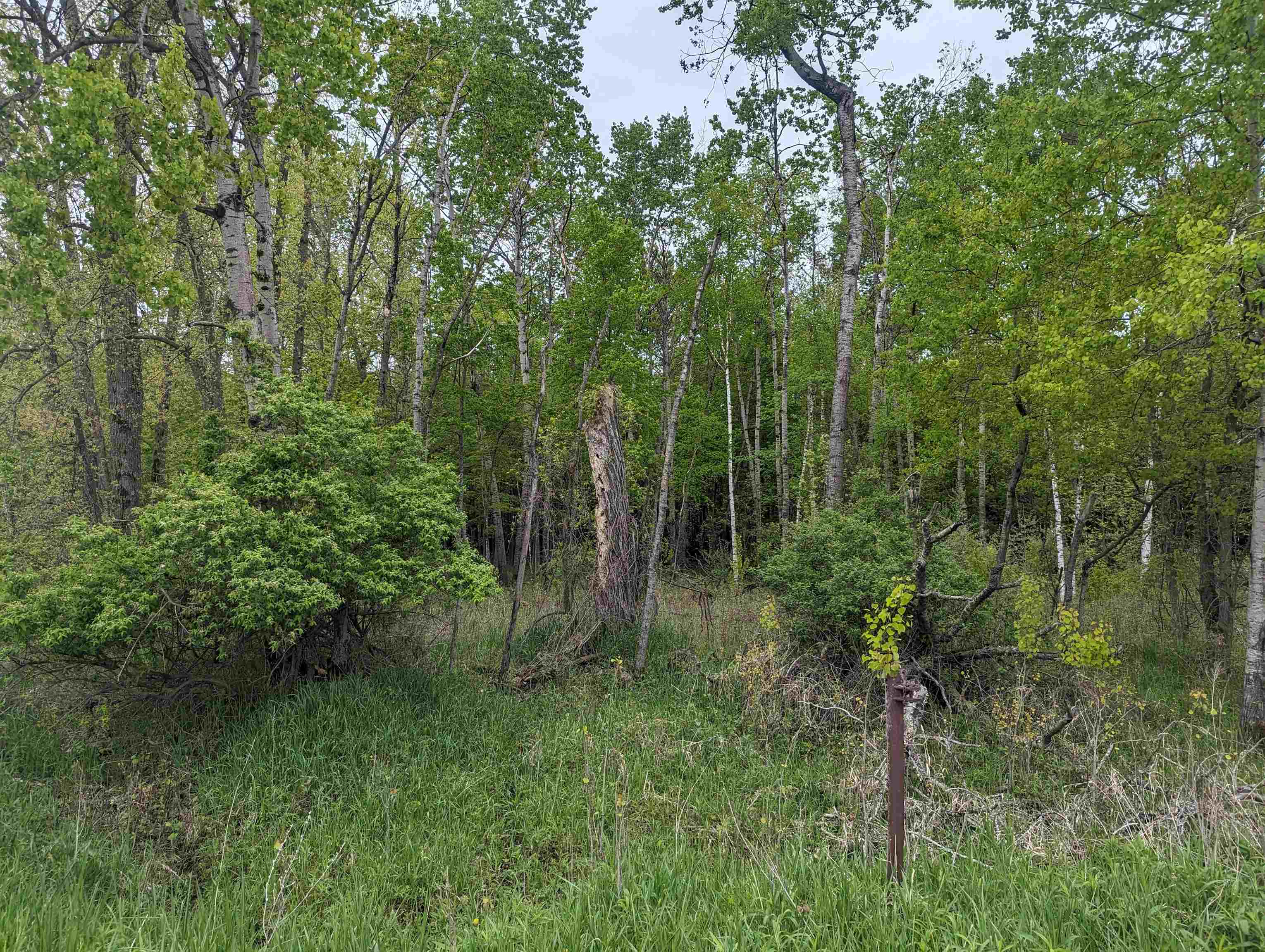 N/a North Lentner Road Turner, MI 48765 - Photo 9 of 10