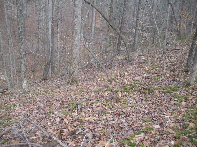 Lot 10 Gap Bridge Road Moneta, VA 24121 - Photo 3 of 8 Lot