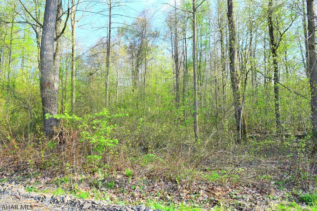 0 Fernwood Road New Paris, PA 15554 - Photo 7 of 11 Gallery Image 7