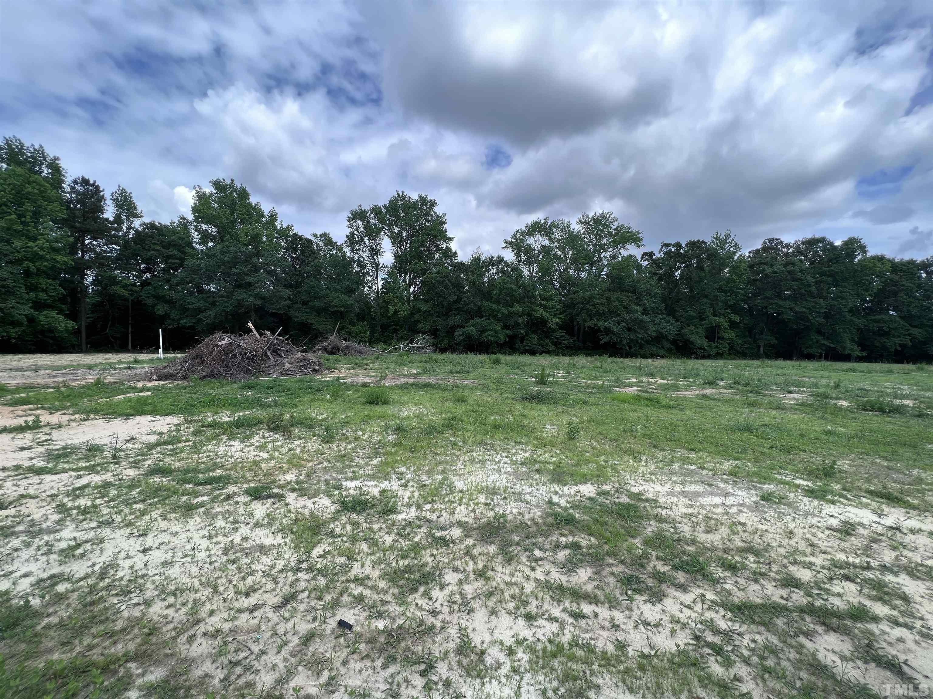 1294 Lee Road Clayton, NC 27520 - Photo 15 of 15 a view of a field with trees in the background
