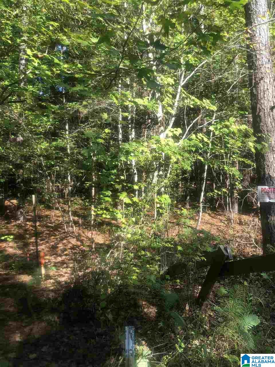 0 Walnut Grove Place, Unit 19 Empire, AL 35063 - Photo 3 of 9