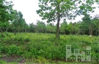 0 Cordgrass Road Hampstead, NC 28443 - Photo 1 of 2 Primary Photo