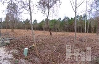 0 Cordgrass Road Hampstead, NC 28443 - Photo 2 of 2 Additional Photo