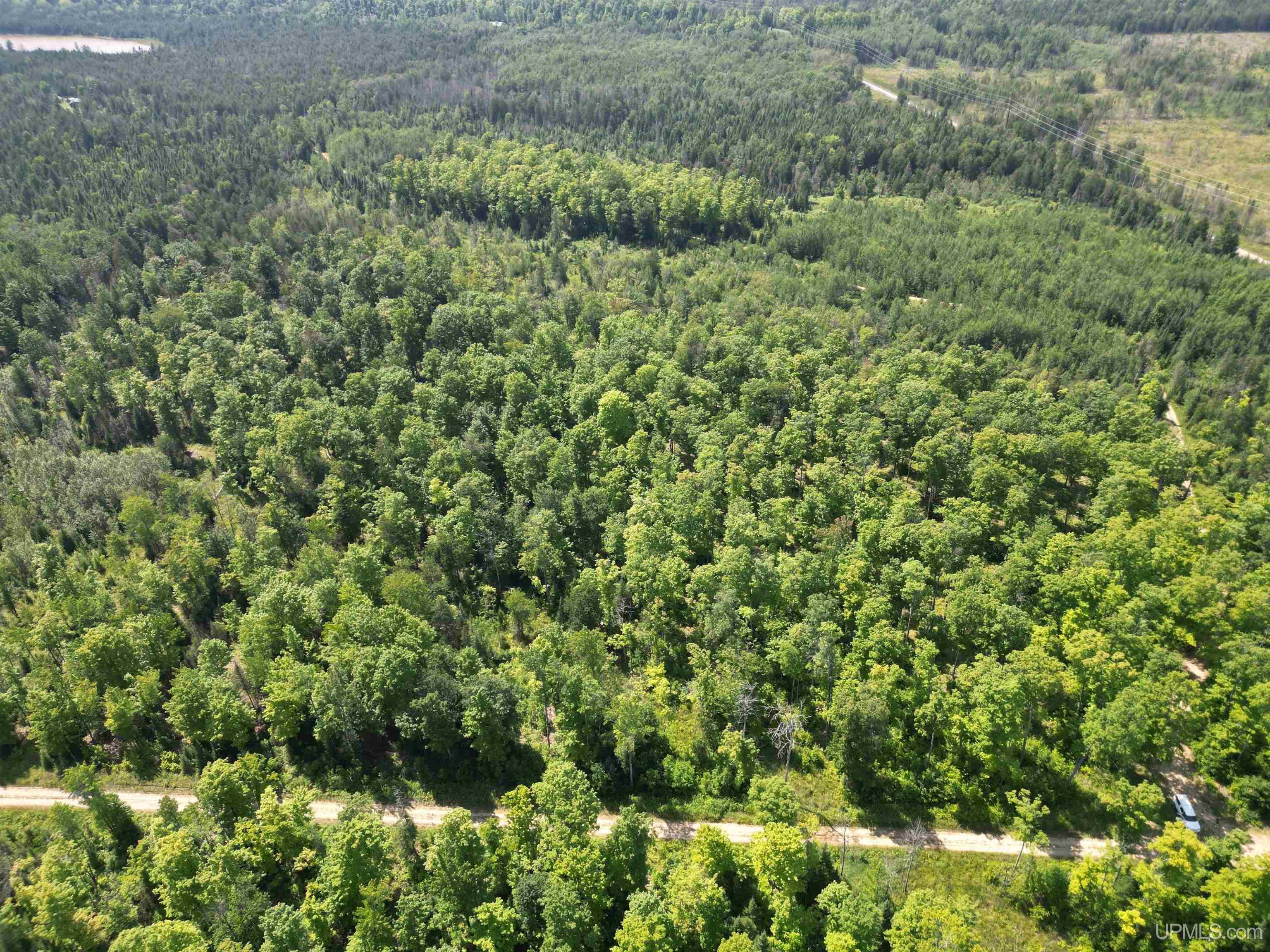 Tbd Cr 557 Road Perronville, MI 49873 - Photo 24 of 27