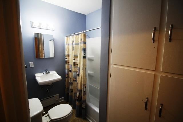 410 Spring Street, Unit 2 Saline, MI 48176 - Photo 8 of 13 Photo 10