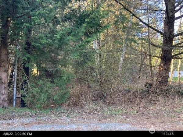 1 Deer Road Point Roberts, WA 98281 - Photo 1 of 1 Gallery Image 1