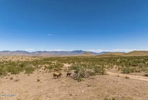 $2,400,000 | 20455 North Skipper Boulevard, Unit 282, Willow Beach, AZ 86445