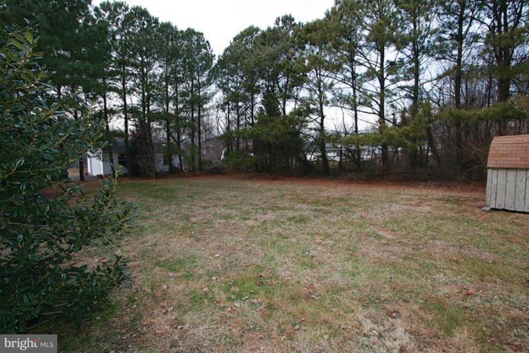 106 Tennessee Road Stevensville, MD 21666 - Photo 10 of 21 Back yard