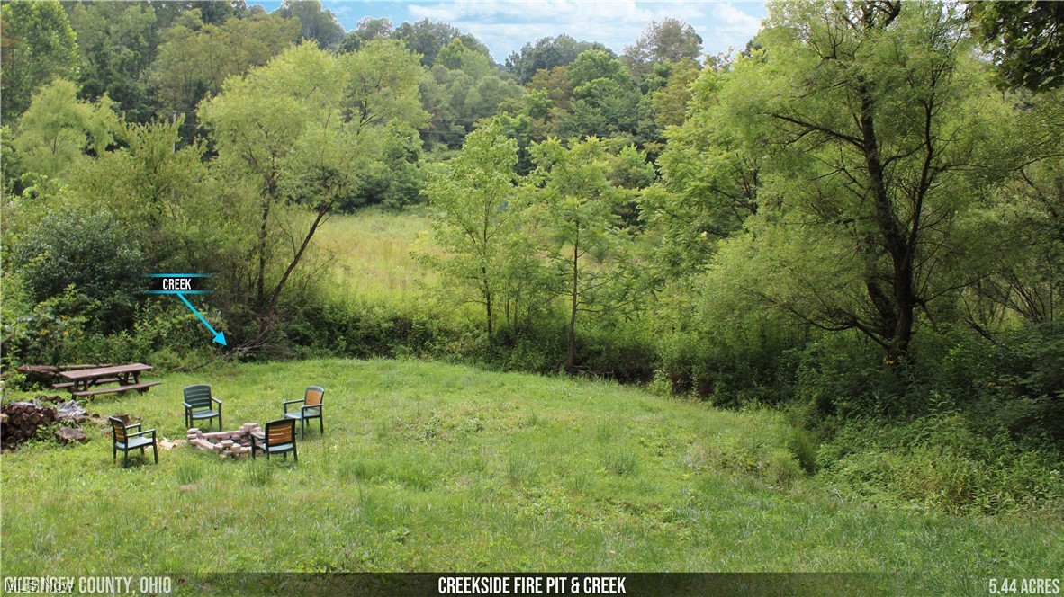 74972 Early Road Kimbolton, OH 43749 - Photo 14 of 17 View of yard