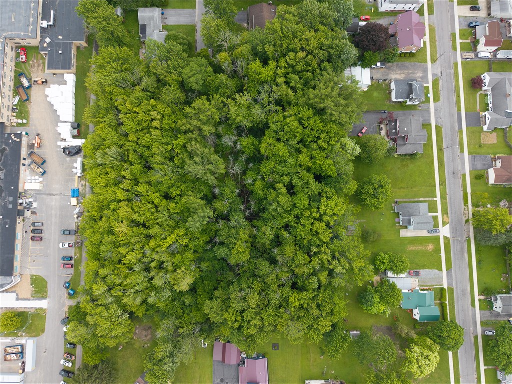 Butler Avenue Seneca Falls, NY 13148 - Photo 5 of 10