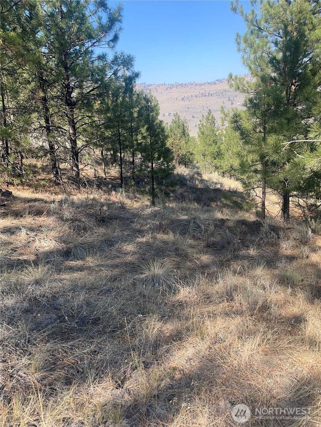 -tbd Reevas Basin Road Tonasket, WA 98855 - Photo 15 of 38