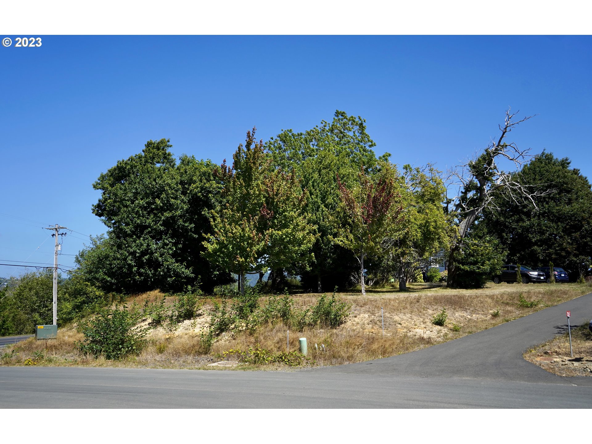 16 Bella Rdg Loop Astoria, OR 97103 - Photo 1 of 9 a view of a yard