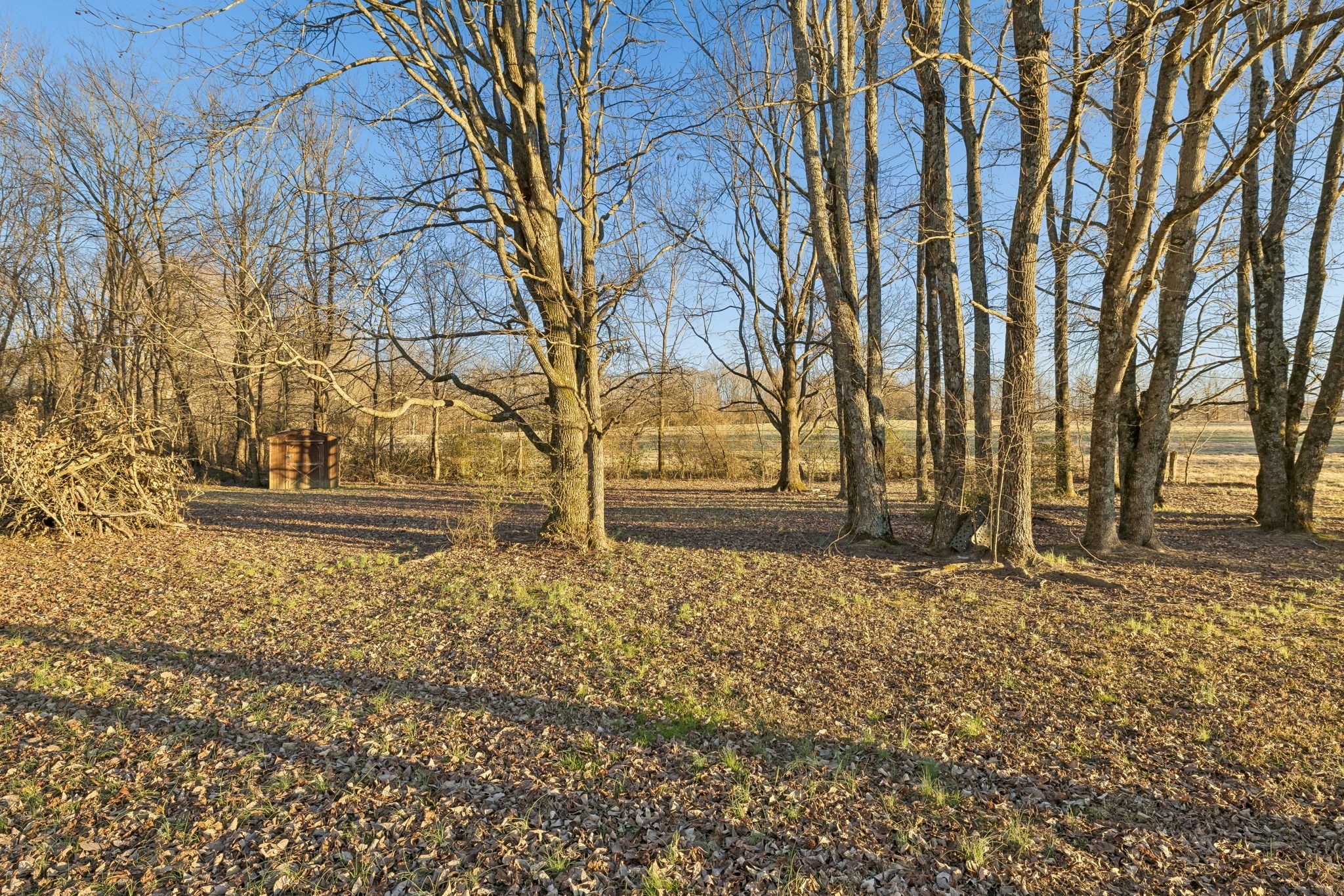 1337 Oaklawn Road Chapmansboro, TN 37035 - Photo 22 of 29