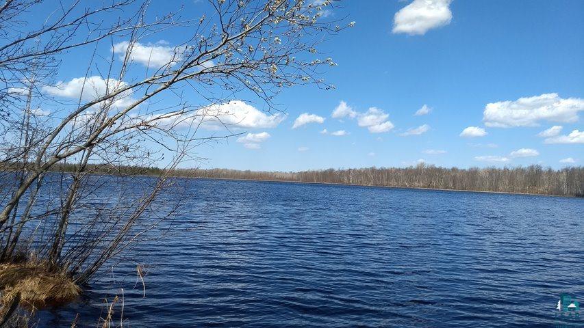 707 Cross Lake Road Wright, MN 55798 - Photo 12 of 19 Gallery Image 12