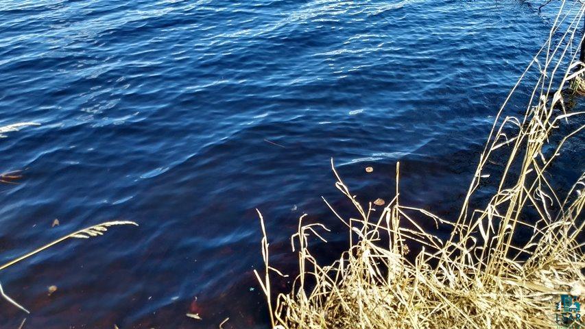 707 Cross Lake Road Wright, MN 55798 - Photo 10 of 19 Gallery Image 10
