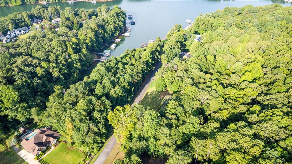 224 Mary Saphire Road Dawsonville, GA 30534 - Photo 3 of 6 a view of a garden
