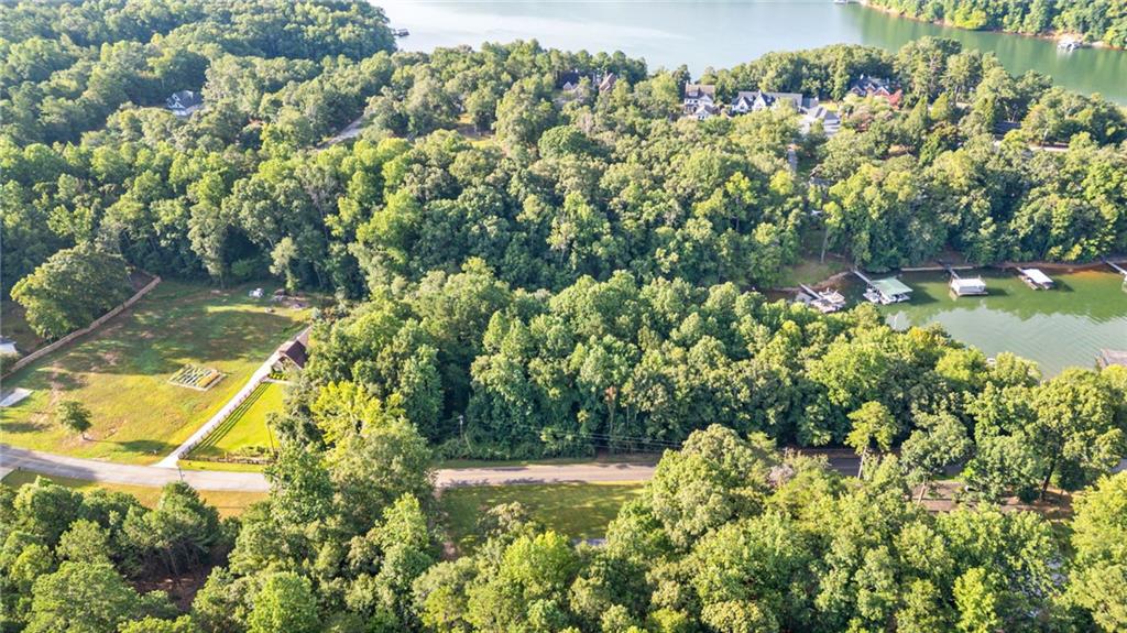 224 Mary Saphire Road Dawsonville, GA 30534 - Photo 4 of 6 a view of a yard with plants