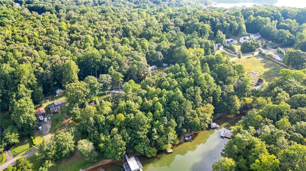 224 Mary Saphire Road Dawsonville, GA 30534 - Photo 5 of 6 a view of a garden