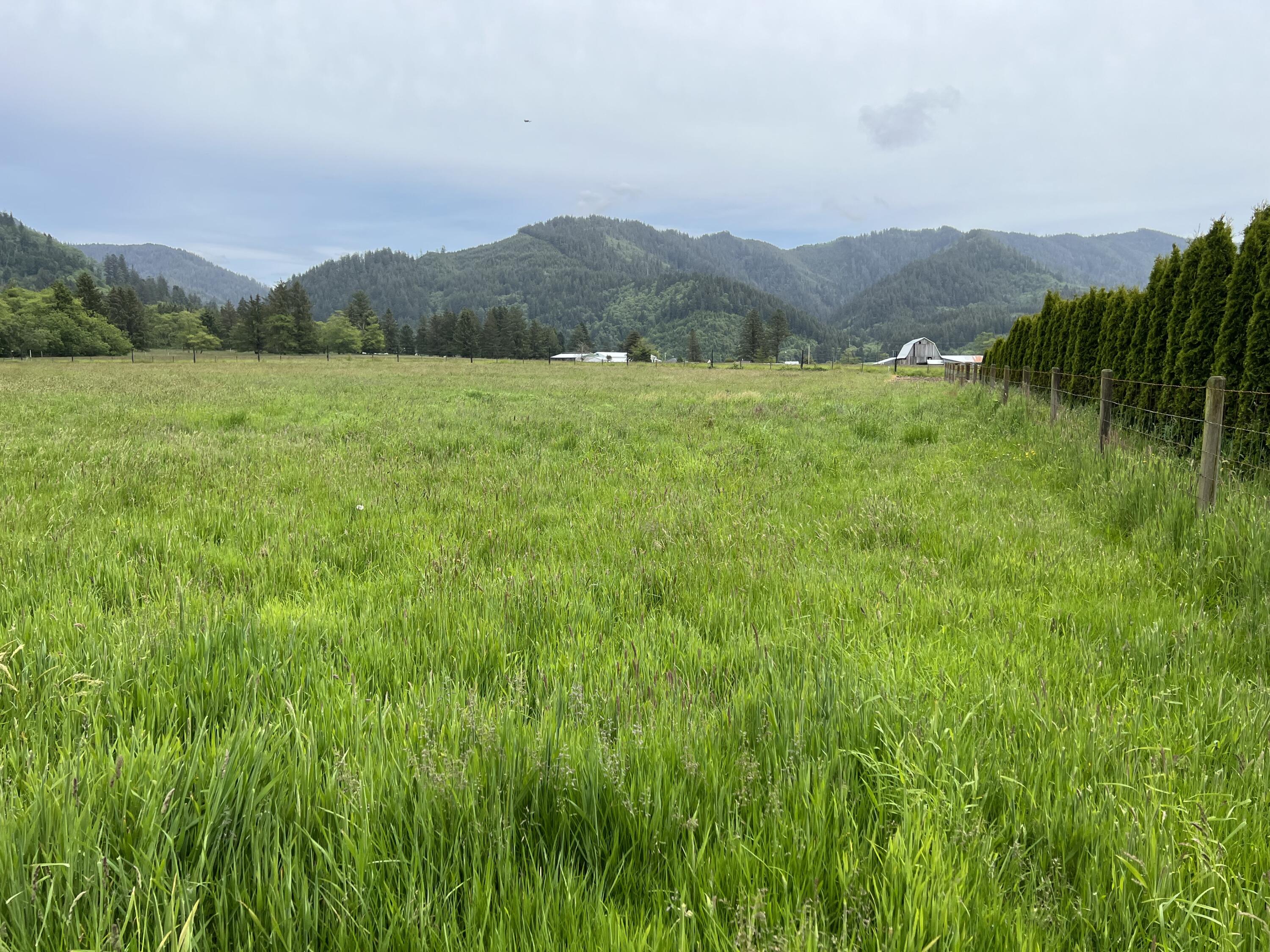 2902 Alderbrook Road Tillamook, OR 97141 - Photo 1 of 26 IMG_1899
