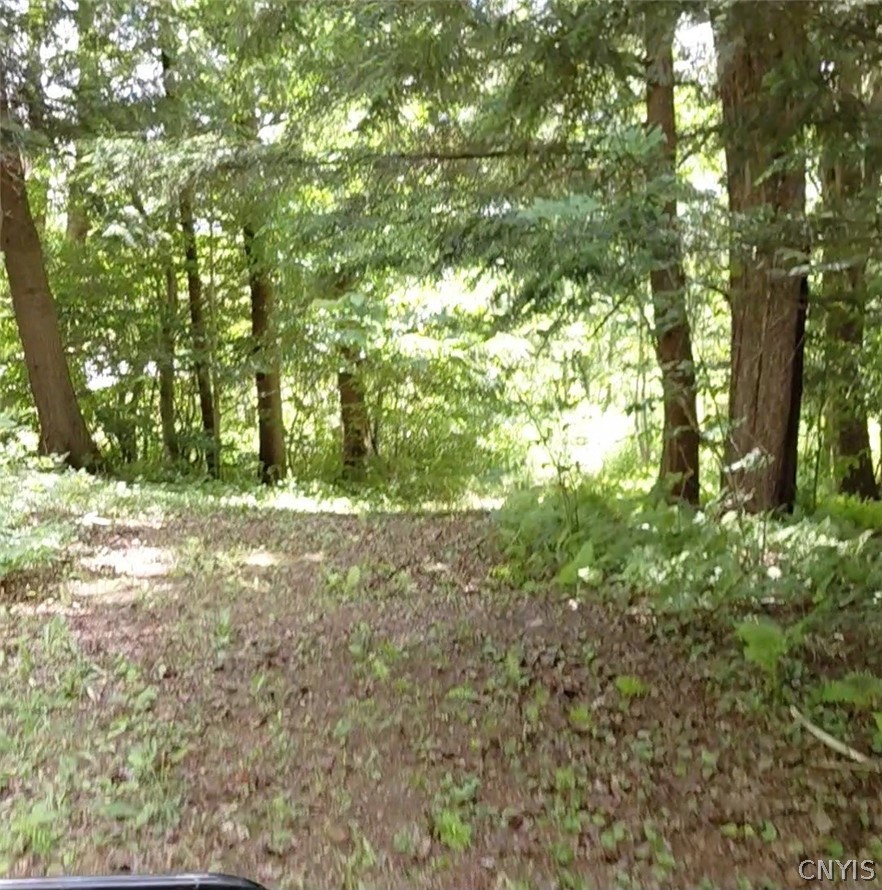 10269 Evans Road Steuben, NY 13438 - Photo 3 of 15