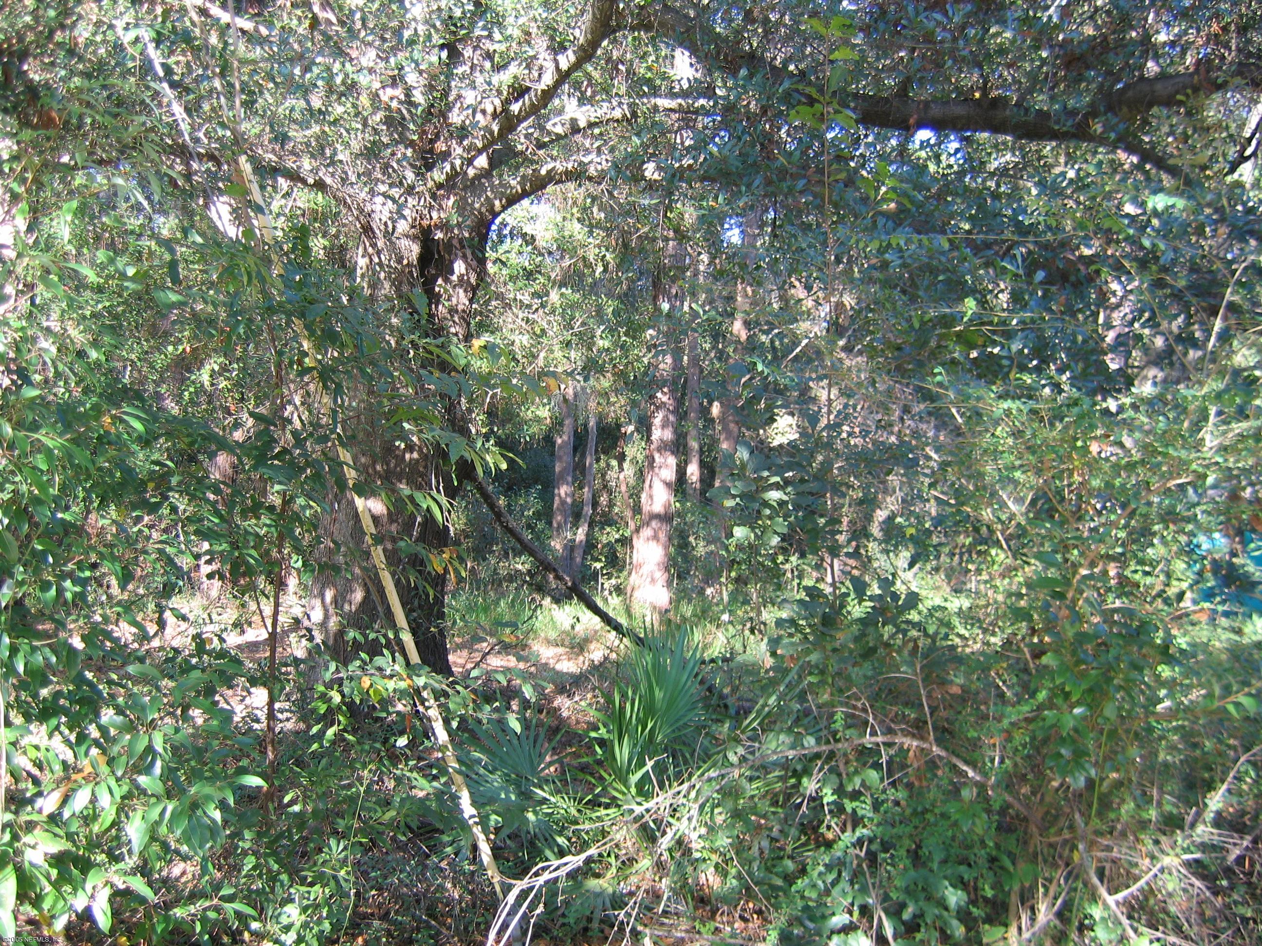 0 Benedict Road Jacksonville, FL 32209 - Photo 3 of 3 a view of tree