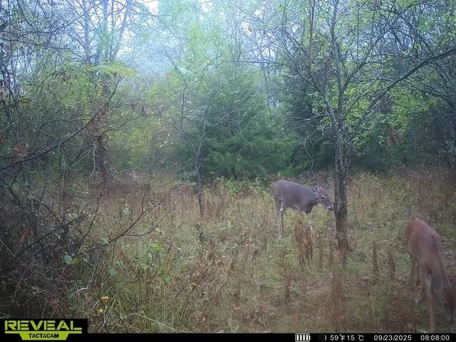 $200,000 | Tract B Shaw School Road, Odessa, MO 64076